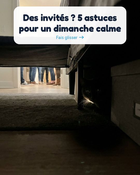 Des invités ce dimanche ?