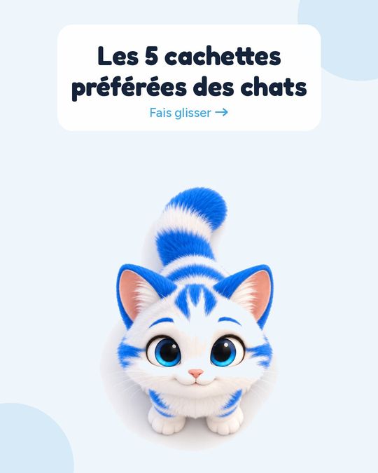 Les 5 cachettes préférées des chats.